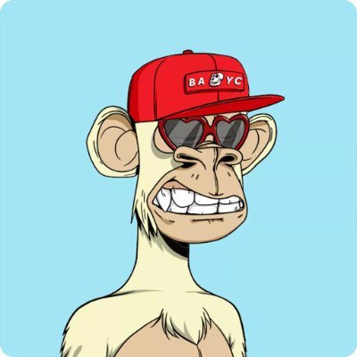 GrayWOLF03CcC's profile picture. #ETHEREUM & #SOLANA NFT HUNTER & HODLER   ⛩️