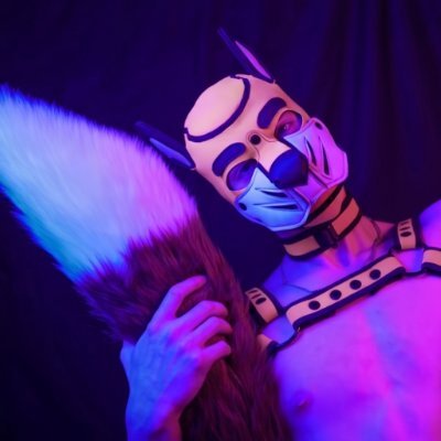 BlazeFoxxo's profile picture. 26 | 18+ | himbo for the poles, hole for the bros | banner: @MaverickTheDeer | SFW: @BlazeFopsy | @furmony suiter