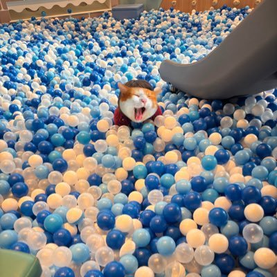 Takesilmc0's profile picture. 2歳育児で毎日バタバタ👶 「これ買って助かった」 「これは失敗した」 育児×生活用品を正直に記録✍️ 忙しい親の遠回りを減らしたい