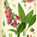 Lindsey Rutledge - @lindsrutledge - Twitter