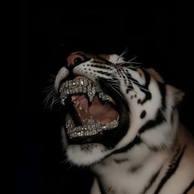 Munin007007's profile picture. ˜”*°•.munin•°*”˜ ||18|| ||He/Him||