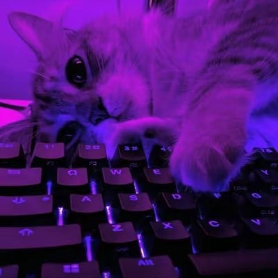 超電ブレーカー Profile