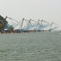 أبو تيمية (@haneefbawa) 's Twitter Profile