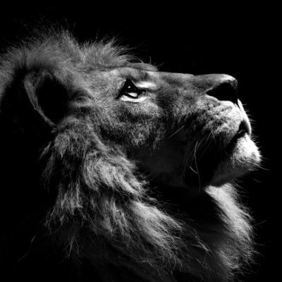 0spdy's profile picture. 19