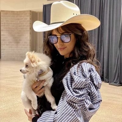 credzxy's profile picture. 🦋 — Incipit: o início de uma composição, poesia ou de um texto.