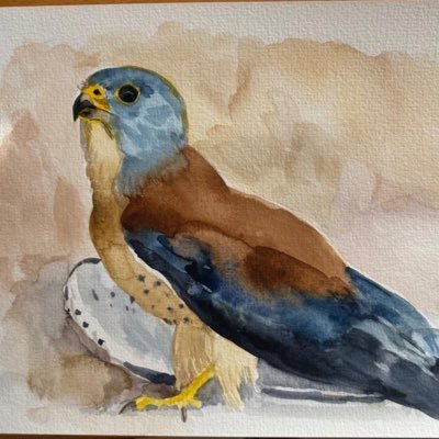 Alejandroqw04's profile picture. Best crypto analyst 💯💰