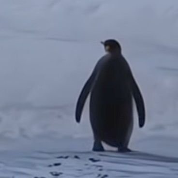 OsLasVi's profile picture. 