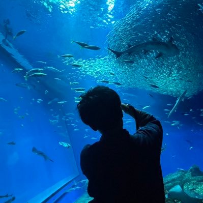 kanna_tanuki's profile picture. fujifilm X-M5つかってます