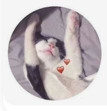 DongHaei_bot2's profile picture. Funny how a melody sounds like a memory