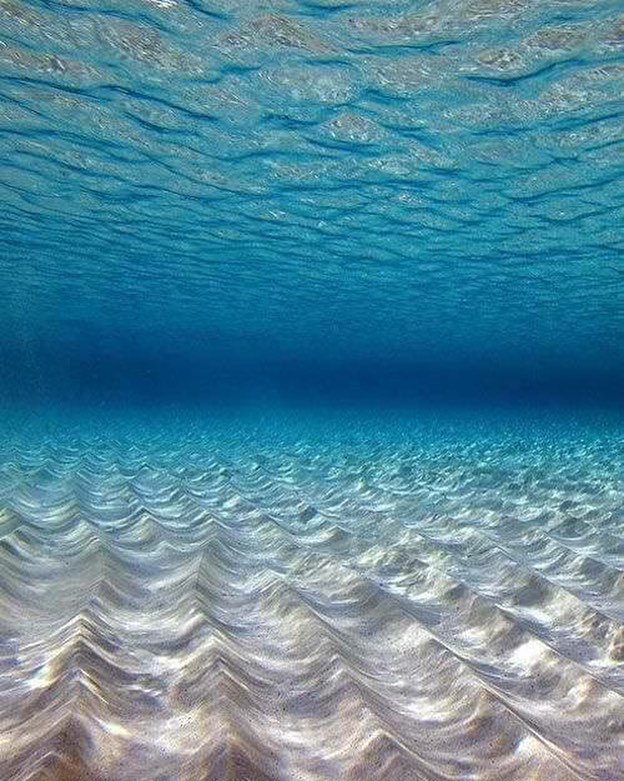 ganesh111mohite's profile picture. I like it, I love it, I want some more of it