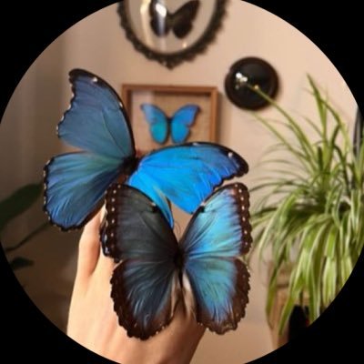 a551ab's profile picture. أبـوي علمني وأنا حافظ الدرس،. العز من طبعي والطيب ساسي،. أنـا حمست العز في داخلي حمس،. وهيلت فنجاله وقندت رآسي،.~ عتزلت المساحات لاأحد يرسل مساحه