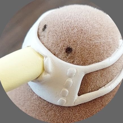 かんちゃん🍆│⁂🍠 (@KS112525) / Posts / X