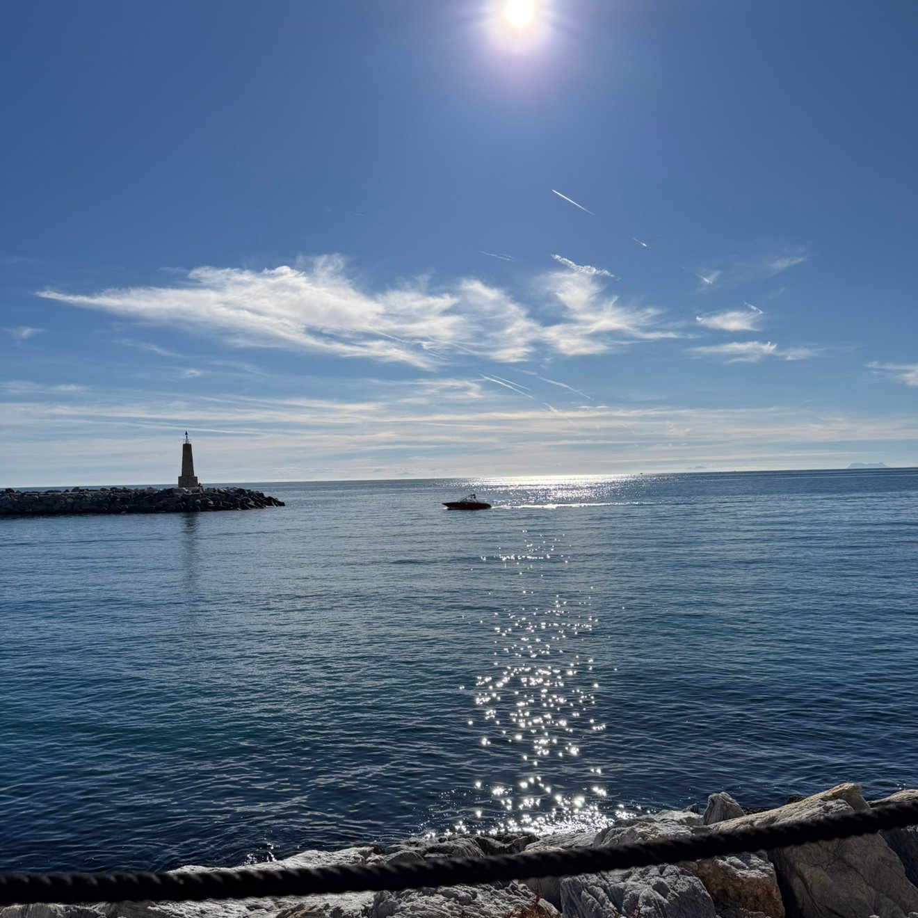 oceanmarbini's profile picture. 