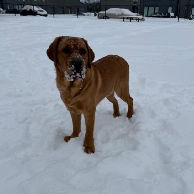 ZacDraper_'s profile image