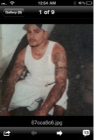 I'm a social worker for Section8 for the city of Los Angeles Housing Authority and part owner of a Tattoo shop and I also work there Tattooing