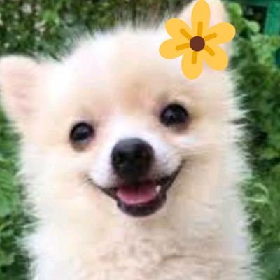 AA11Besties's profile picture. ชีวิตสาววายที่มีความสุข ✨                              

แฟนพี่หมี ~ แม่น้องซอน