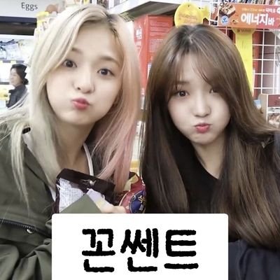 Her_diary______'s profile picture. 흔한 플로버 & 지쎈 팬