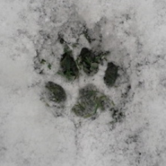 Juandiyahoocom2's profile picture. 気になったことはとりあえず調べてみる！知識欲が止まらない好奇心旺盛タイプ。