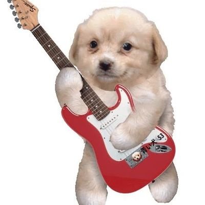 jj_0ng's profile picture. 여러분의 트친 짱이 입니다 여기로 계옮했으니 팔신 받아주세요..