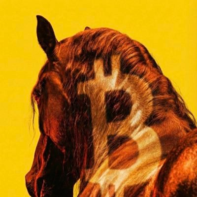 Cryptonut1111's profile picture. MEME COIN DEALER ‘You only lose if you sell 🥴` #HODL #DEGEN🥜📈💸