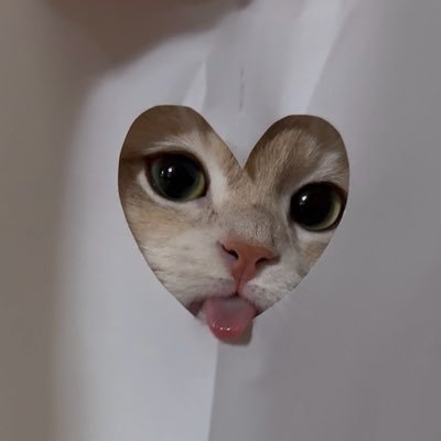 noturqueeniee's profile picture. 𝗮𝗻𝗱 𝗮𝗹𝗹 𝘁𝗵𝗲𝘀𝗲 𝗻𝗶𝗴𝗵𝘁𝗺𝗮𝗿𝗲𝘀 𝘂𝘀𝗲𝗱 𝘁𝗼 𝗯𝗲 𝗱𝗮𝘆𝗱𝗿𝗲𝗮𝗺𝘀~