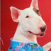 HoganRising's profile picture. HEALTH IS THE GREATEST WEALTH