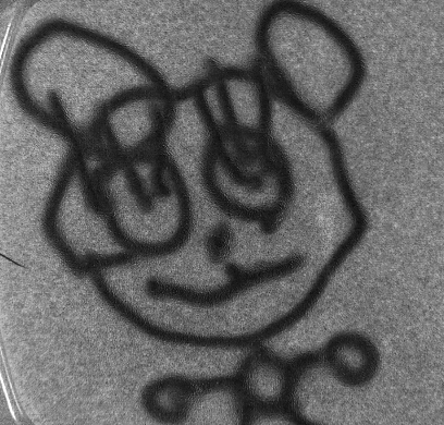 YWorldSpirit's profile picture. 一生青春、一生感動。 打楽器 percussion ミシン ハンドメイド 手仕事 ソーイング ウォルドルフ人形 消しゴムはんこ がまぐち 革製品 レザー 凸版 活版 バレエ サッカー 日本酒 イーハトーブ 横浜 鎌倉 湘南 伊豆 宮沢賢治 五味太郎 ラテン系  AlfaRomeo  Fiat