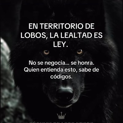 silvibeatlaz's profile picture. ...cada día, cada momento, cada instante es irrepetible...