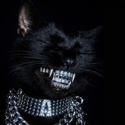 R4czie's profile picture. Motorbike/Car Addict 

Water is superior