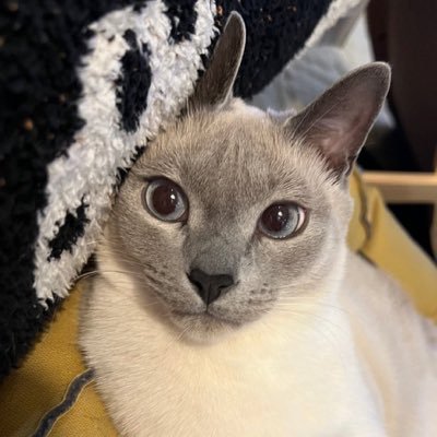 parrtinn_byun's profile picture. 𝐄𝐗𝐎 | 𝐓𝐄𝐍 𝐋𝐄𝐄 | 𝐒𝐄𝐕𝐄𝐍𝐓𝐄𝐄𝐍 | 𝐀𝐏𝐢𝐧𝐤 | @.nd_double_r ♡ JaeTen ʕ·ᴥ·˵ ʔ