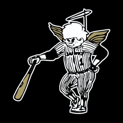 DCSaints's profile picture. Class C @MinnBaseball team. Member of @NorthStarLeague & #Region6C. 22x State Tourney Entrant. 1x State Champ 🏆. #DCSaints #WhyNot🤷