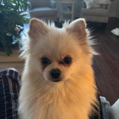 HunMikee's profile picture. MAGA, Veteran, Turning California Red