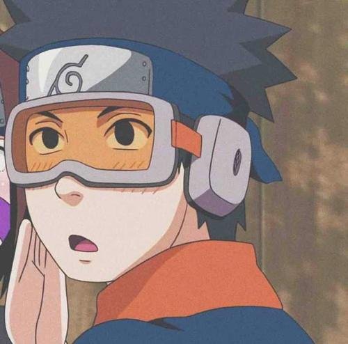 EssumMichael's profile picture. Swallow flights