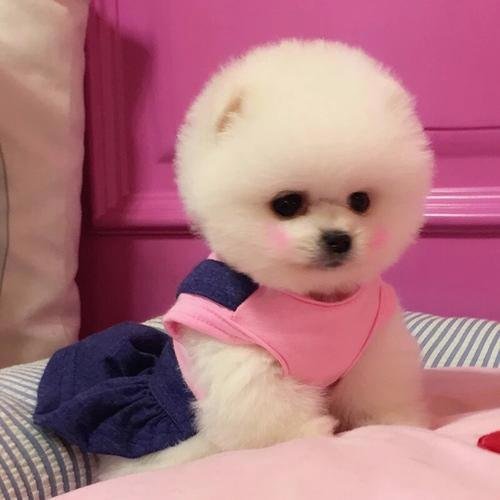 chester_3370's profile picture. Quick lines catch fleeting faces.