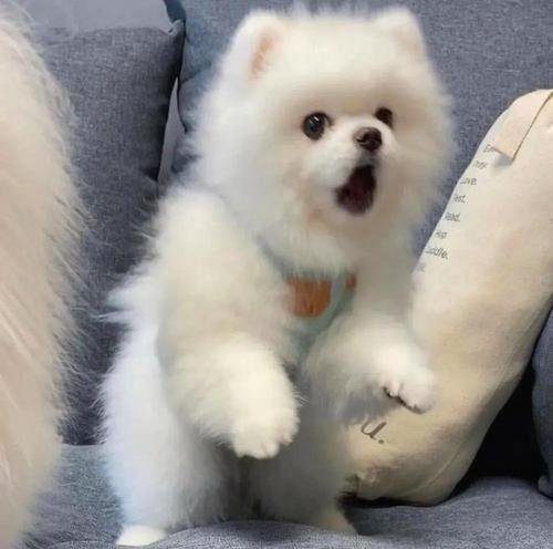 gelosalazar's profile picture. Attended a lantern light walk—glows guiding gentle.