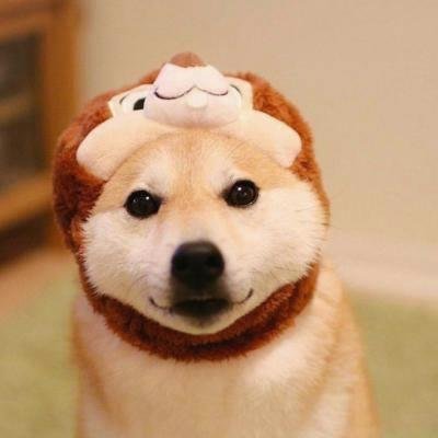 serkandemircan1's profile picture. Listened to lyres plucked—strings singing ancient.