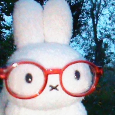 miffymeds's profile picture. tentando ser produtiva e passar em medicina