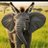 casbro33's profile image