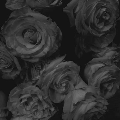 Rdamakoupitsa's profile picture. 