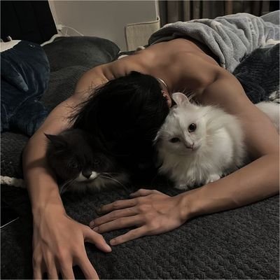 favpervrt's profile picture. M straight • if u know me irl please stfu