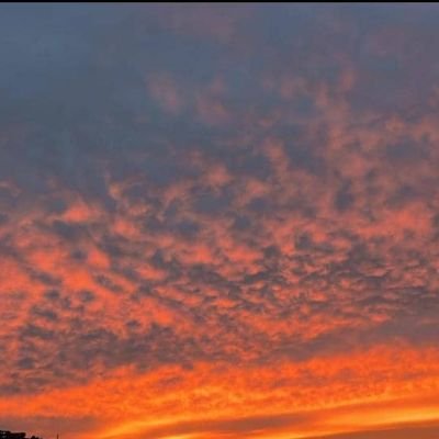 anniwiss's profile picture. 💌