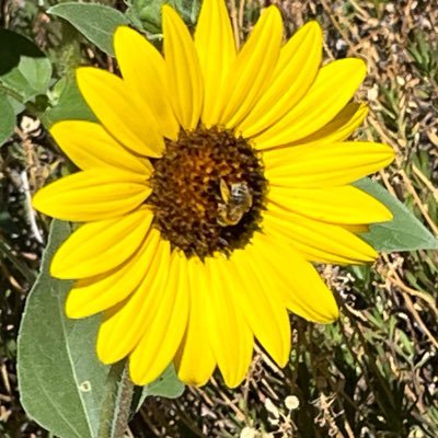 NewWashoeCounty's profile picture. New Washoe County is produced by Reno Accountability, to create a new conversation about the future.