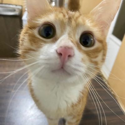 bhrthr___'s profile picture. 