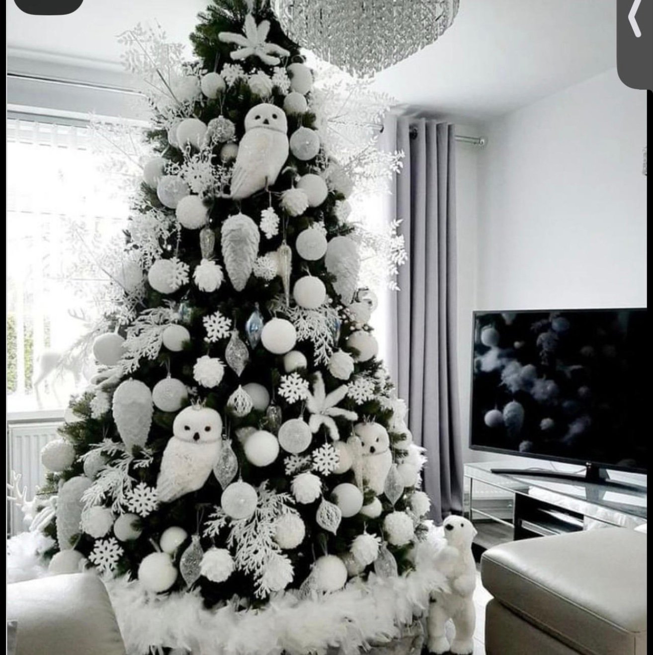 Chinbunban's profile picture. 