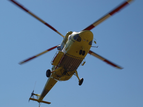 otomou29's profile picture. Bombero forestal BRIF