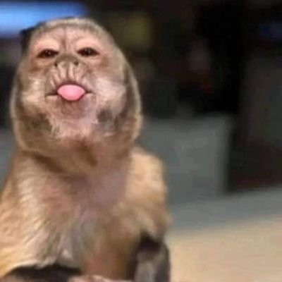 jika_thobejane's profile picture. Chelsea and Barcelona fan