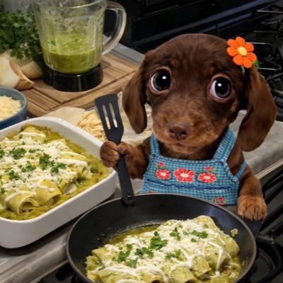 candeackerman_'s profile picture. corte vegetariano, no jodo con panchos ni salames