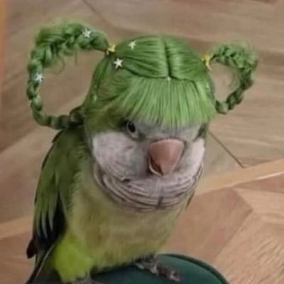 LTWT4EVER's profile picture. they say heroes fight like Palestinians