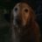 jsprmnlow's profile image