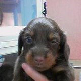 eijitokyo's profile picture. 